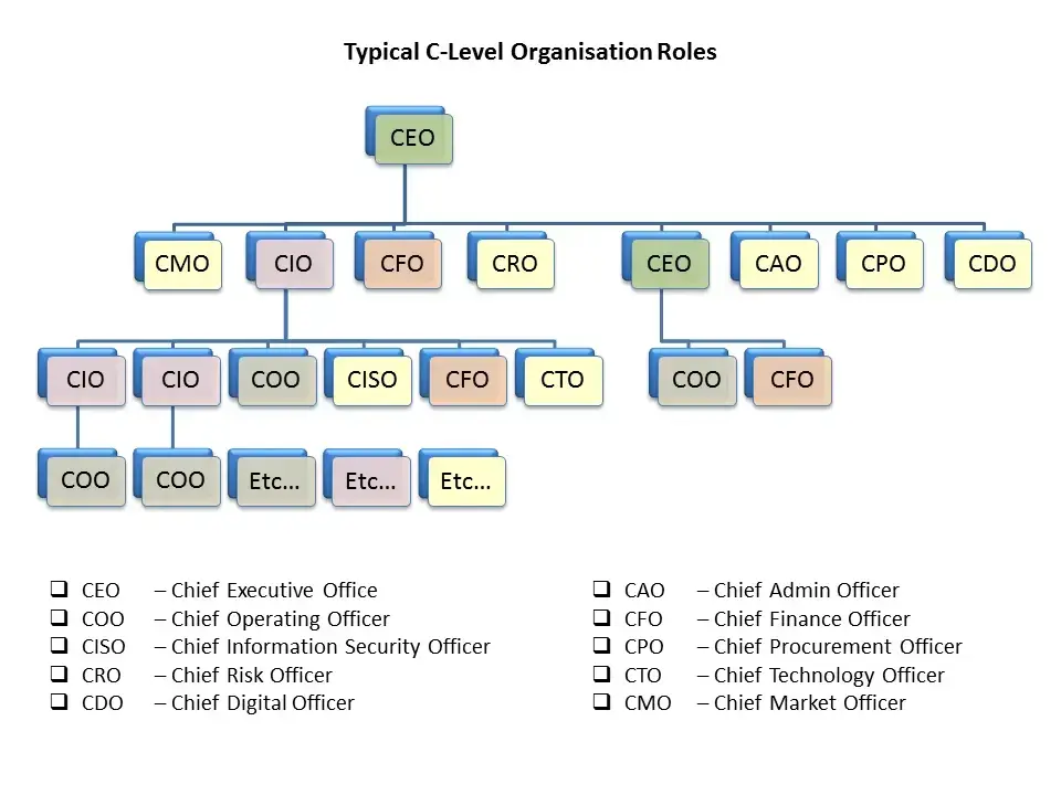 Organizational chart showing typical C-level roles and their hierarchy for fractional leadership structures.